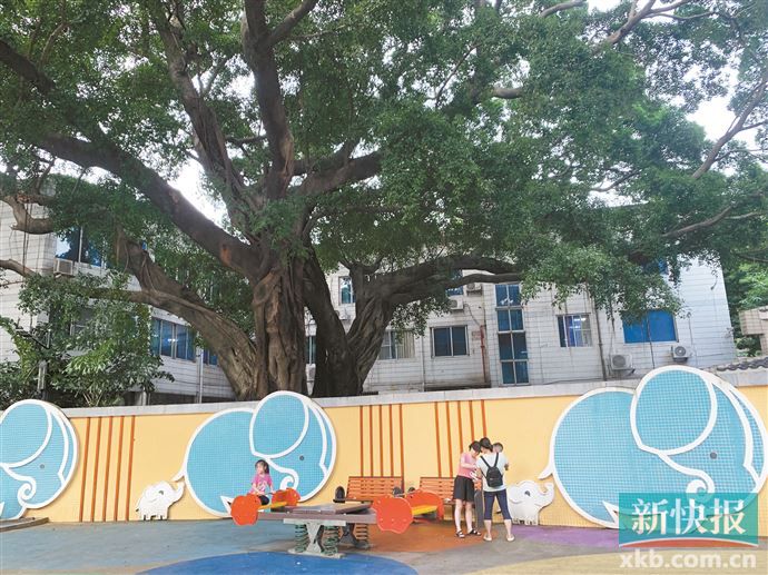 九游app：廣州公園或將增加類似攀巖、滑板場等新穎游樂設施(圖6)