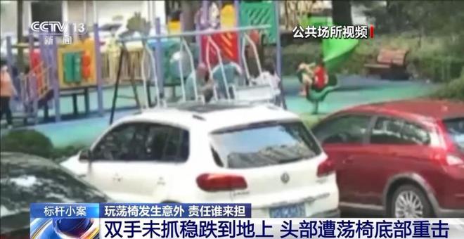 兒童玩蕩椅意外身亡 責(zé)任誰來擔(dān)？(圖3)