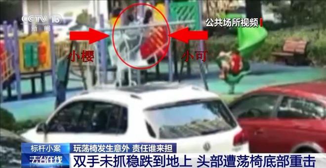 兒童玩蕩椅意外身亡 責(zé)任誰來擔(dān)？(圖2)