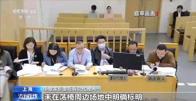 兒童玩蕩椅意外身亡 責(zé)任誰來擔(dān)？(圖8)