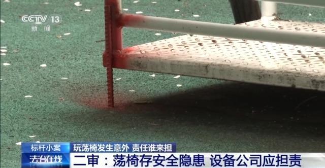 兒童玩蕩椅意外身亡 責(zé)任誰來擔(dān)？(圖10)