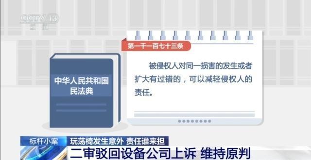 兒童玩蕩椅意外身亡 責(zé)任誰來擔(dān)？(圖12)