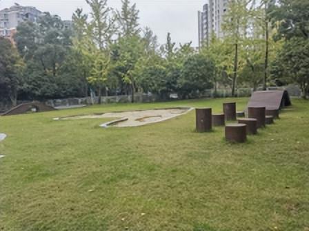 濱州市第二批赴上?！绑w悟?qū)嵱?xùn)”隊開啟學(xué)習(xí)實踐之旅——在黃浦江畔汲取智慧 助力濱州口袋公園建設(shè)(圖3)