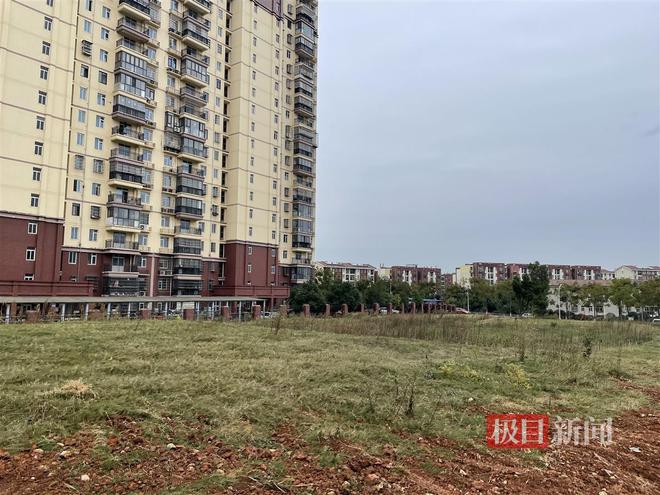 極目幫辦｜武漢光谷一公園啟動(dòng)建設(shè)兩年后遍地雜草多方回應(yīng)建設(shè)進(jìn)展(圖3)