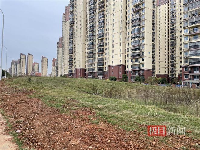 極目幫辦｜武漢光谷一公園啟動(dòng)建設(shè)兩年后遍地雜草多方回應(yīng)建設(shè)進(jìn)展(圖1)