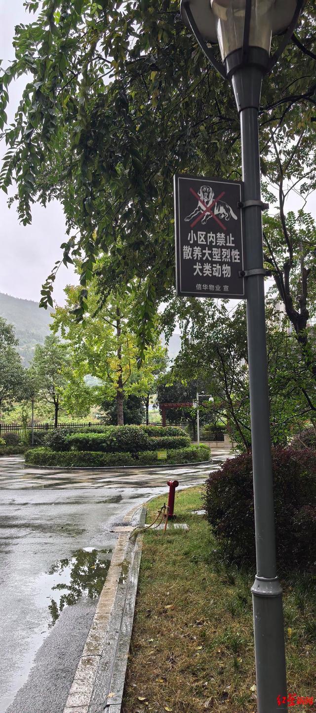 九游娛樂：1歲10個月女童小區(qū)內(nèi)被狗咬傷：監(jiān)控還原事發(fā)經(jīng)過警方初步確定為流浪狗(圖4)
