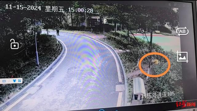 九游娛樂：1歲10個月女童小區(qū)內(nèi)被狗咬傷：監(jiān)控還原事發(fā)經(jīng)過警方初步確定為流浪狗(圖3)