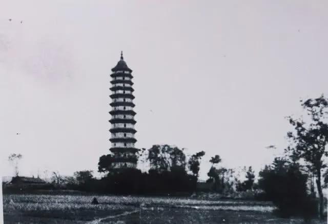 東湖山公園里面有“神仙”老輩子不豁老輩子(圖8)