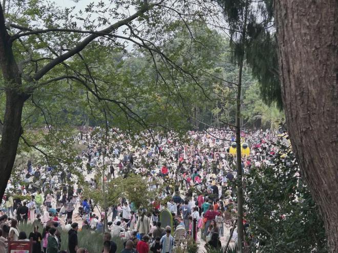 東湖山公園里面有“神仙”老輩子不豁老輩子(圖13)