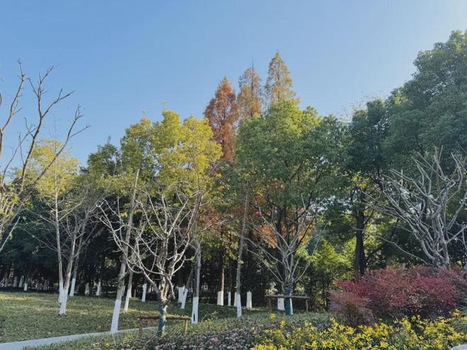 南湖體育公園建成開(kāi)放(圖1)