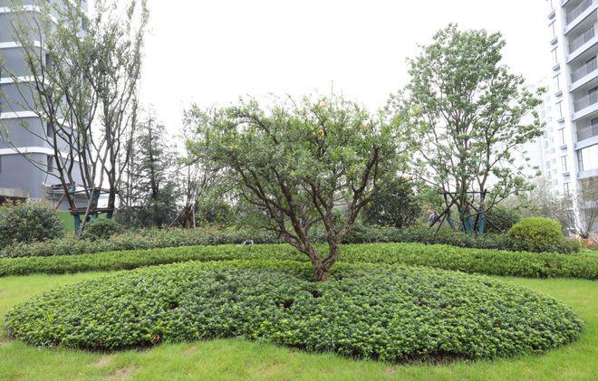 青島靈山灣天璽售樓處-靈山灣天璽官方網(wǎng)站歡迎您丨2024最新詳情(圖3)