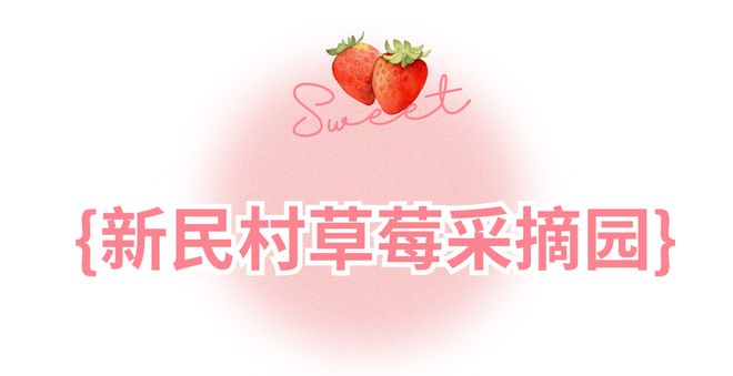 哇塞！蔡甸草莓采摘季開啟超全攻略速看→(圖4)