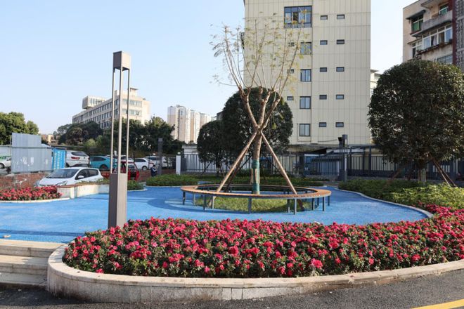 10年254個！看龍泉驛老舊小區(qū)的“蝶變”之路(圖1)