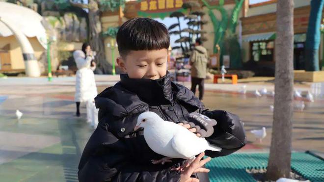 光明日?qǐng)?bào)關(guān)注沁陽丨文旅上新恐龍園迎賓(圖2)
