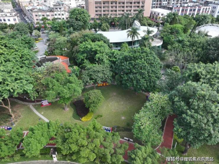 變了!變了!東莞厚街體育公園變得更漂亮更好玩(圖9)