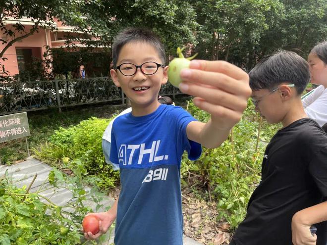 2024年“我的虹馨故事”系列展示（5）——嘉興路街道(圖3)