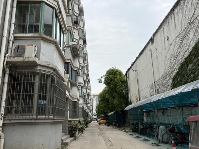 九游app：上海一小區(qū)跨越兩個行政區(qū)竟實現(xiàn)“逆齡生長”秘訣是……(圖4)