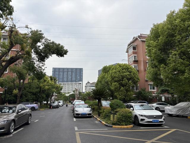 九游app：上海一小區(qū)跨越兩個行政區(qū)竟實現(xiàn)“逆齡生長”秘訣是……(圖3)