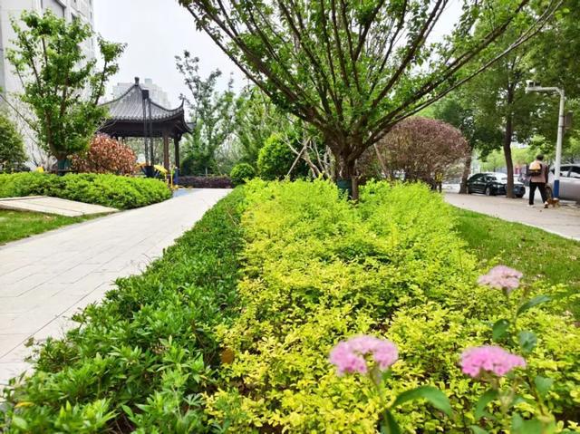 蚌埠這里閑置地塊變身社區(qū)綠洲……(圖2)