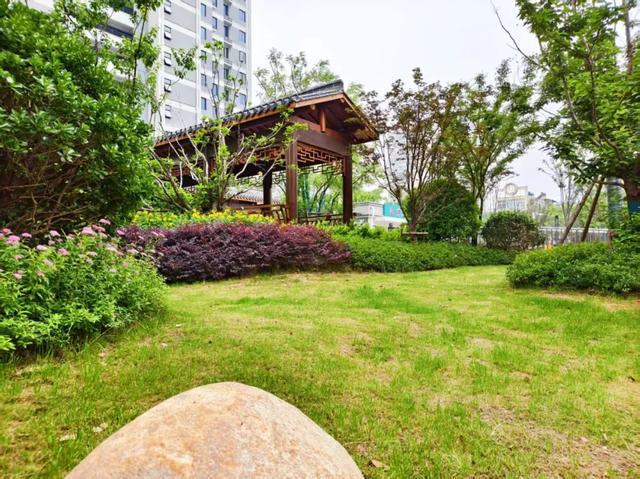 蚌埠這里閑置地塊變身社區(qū)綠洲……
